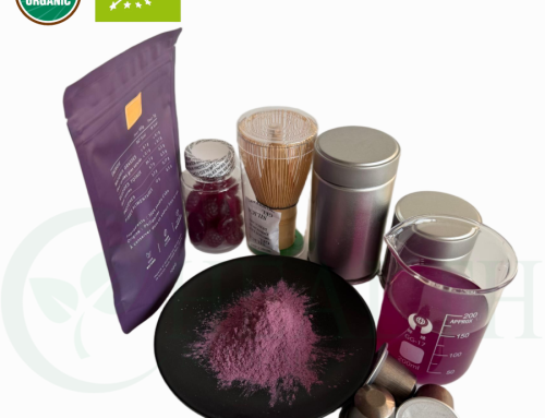 The Purple Reign: How Ube, the Filipino Staple, Became America’s New Favorite Flavor Craze