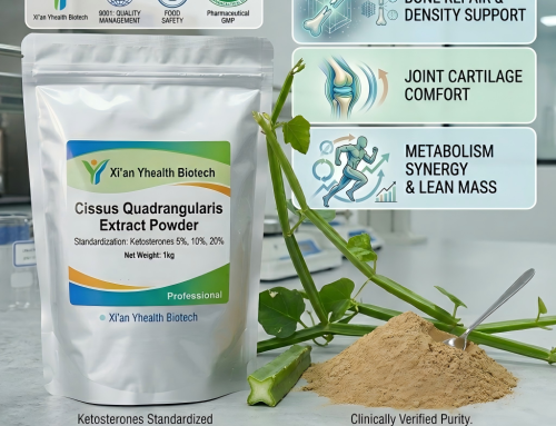 🚀 Research & Innovation Note: Elevating Bone & Joint Health Formulations