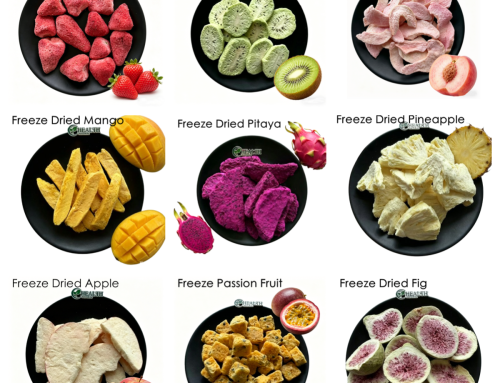 Cubos de frutas liofilizadas: A tendência dos lanches saudáveis ​​que impulsiona a demanda global em 2026