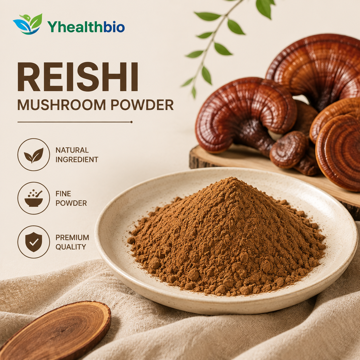 Reishi MushroomPowder2
