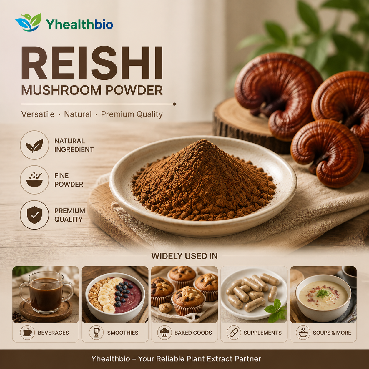 Reishi MushroomPowder3