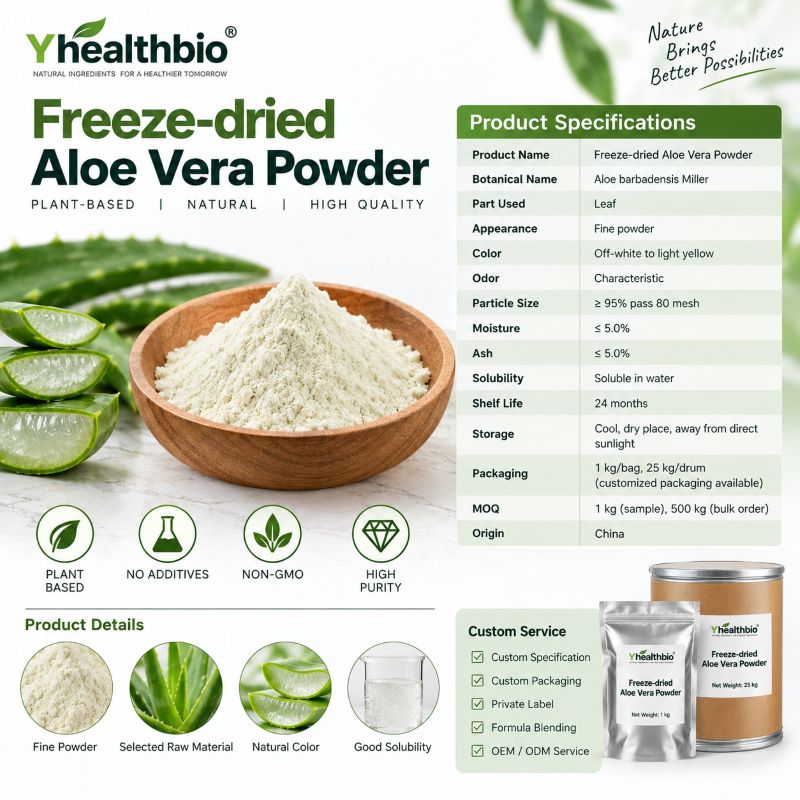 FD Aloe Vera2