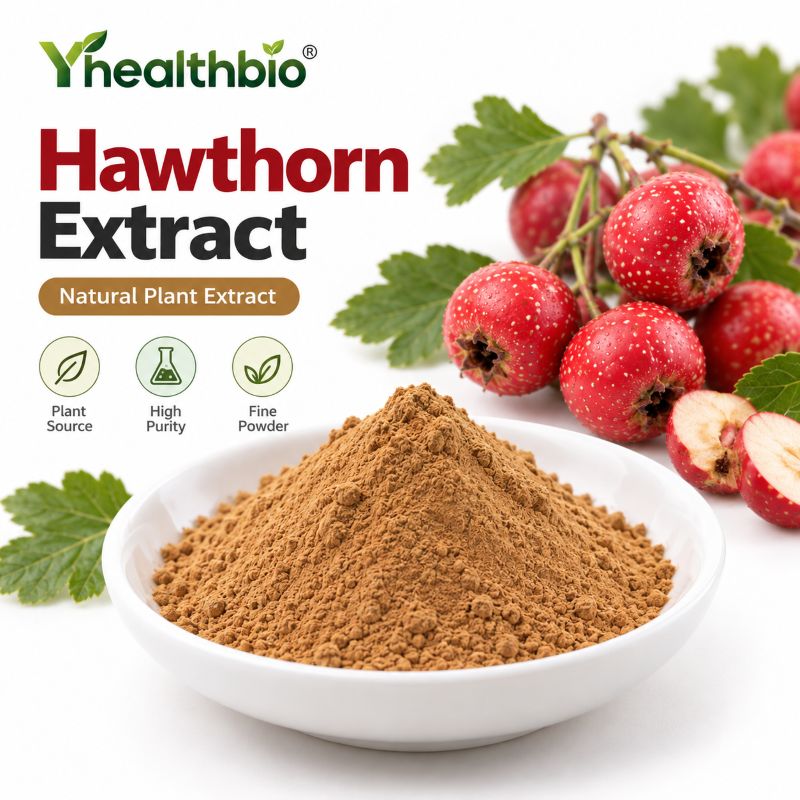 Hawthorn Extract